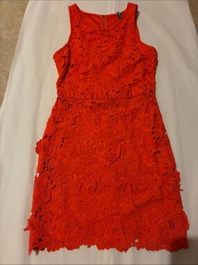 Design Lab Lord & Taylor Bright Orange Lace Mini Dress